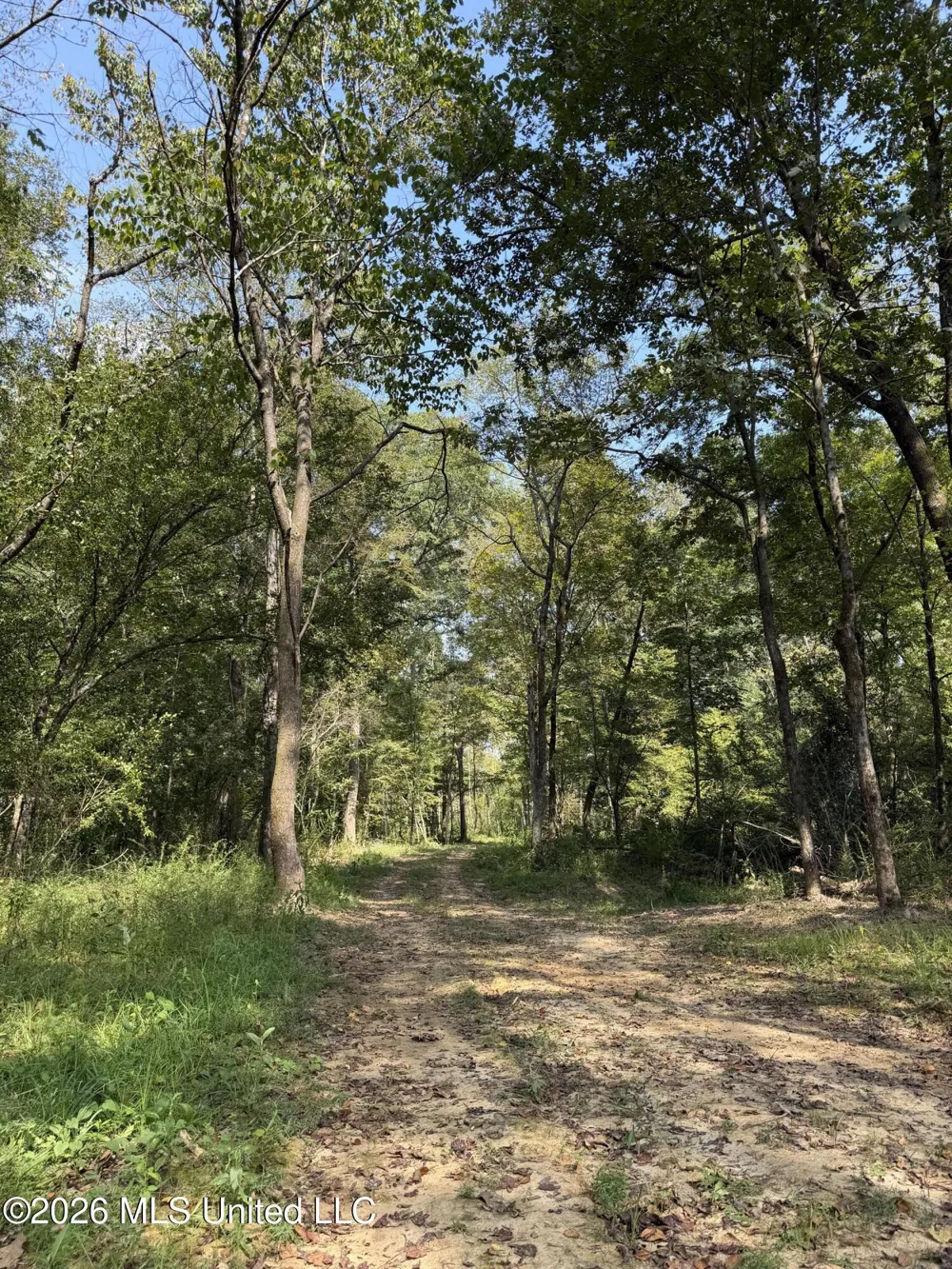 Potluck Road Canton, MS 39046
