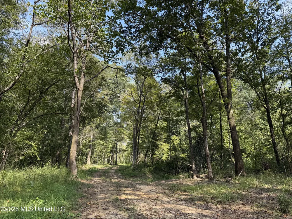 Potluck Road Canton, MS 39046