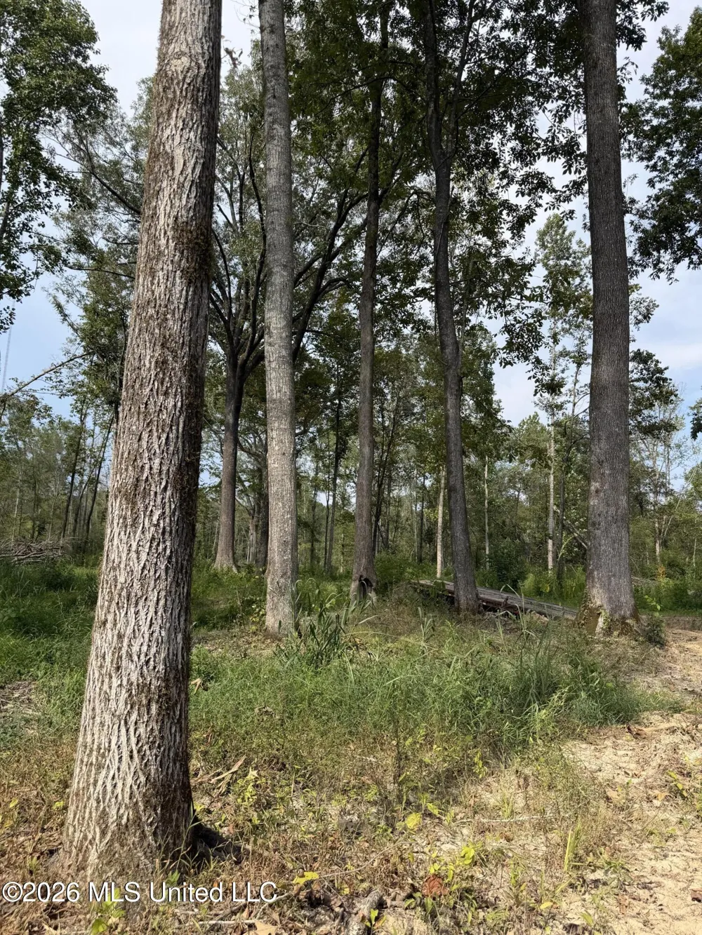 Potluck Road Canton, MS 39046
