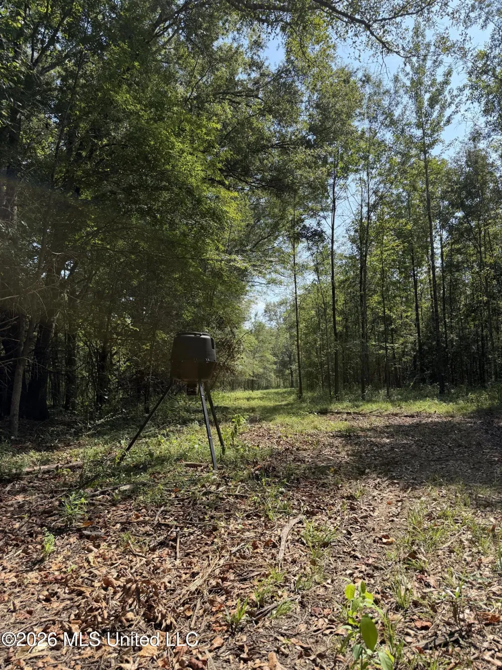 Potluck Road Canton, MS 39046
