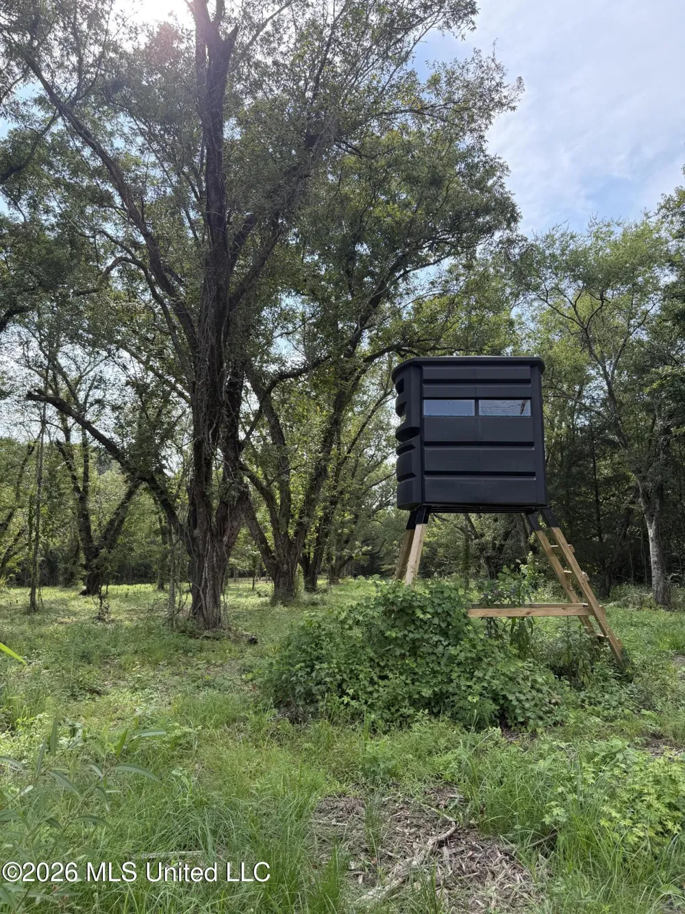 Potluck Road Canton, MS 39046