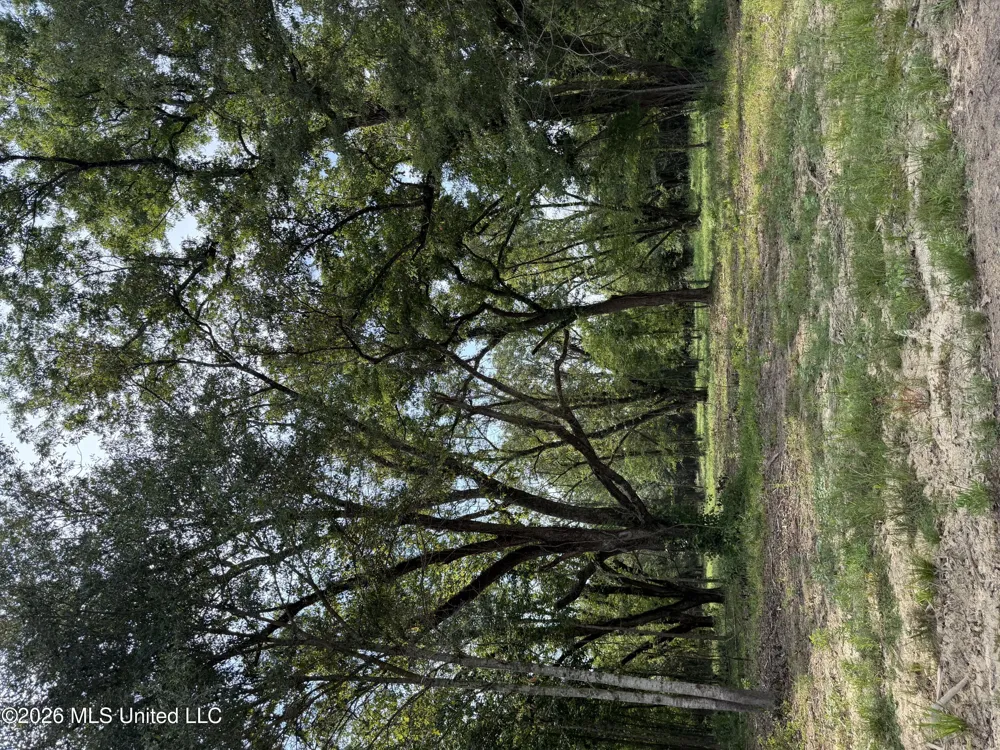 Potluck Road Canton, MS 39046