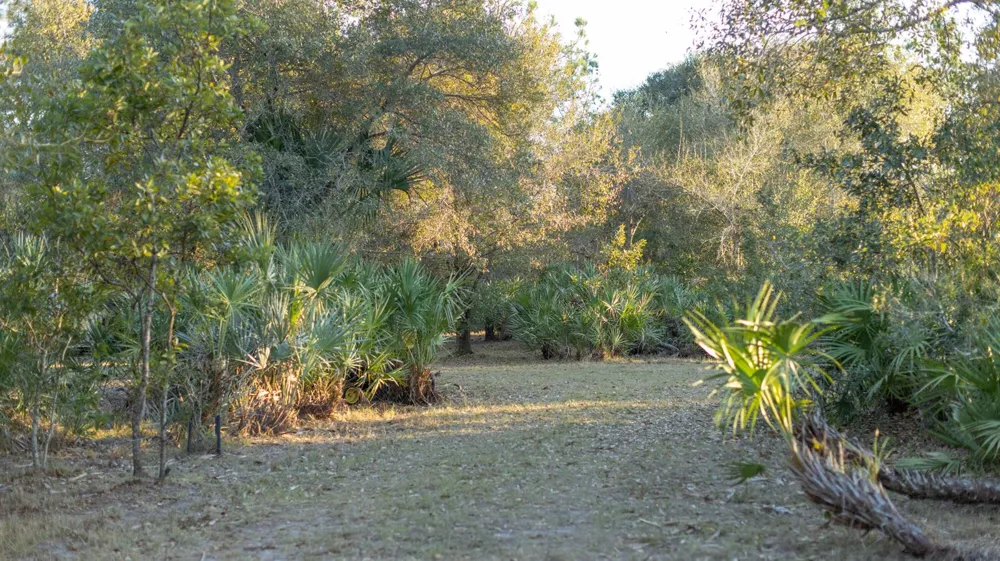 32801 US HIGHWAY 441 Okeechobee, FL 34972