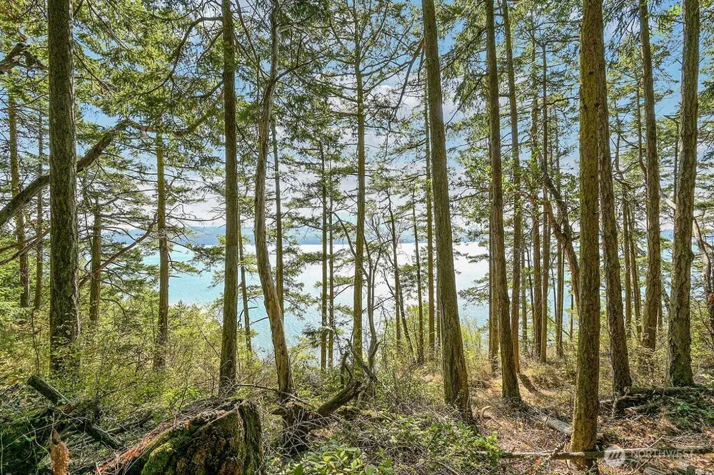 6982 Cape George Rd Port Townsend, WA 98368
