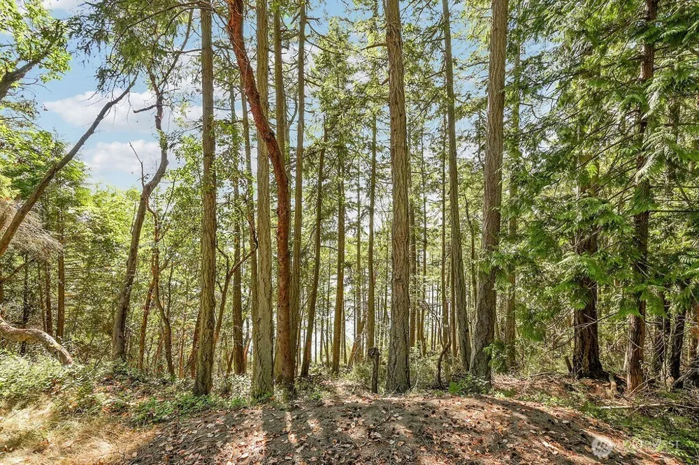 6982 Cape George Rd Port Townsend, WA 98368