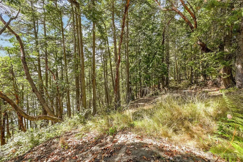 6982 Cape George Rd Port Townsend, WA 98368