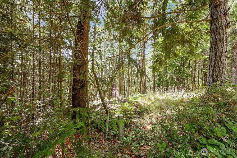 6982 Cape George Rd Port Townsend, WA 98368