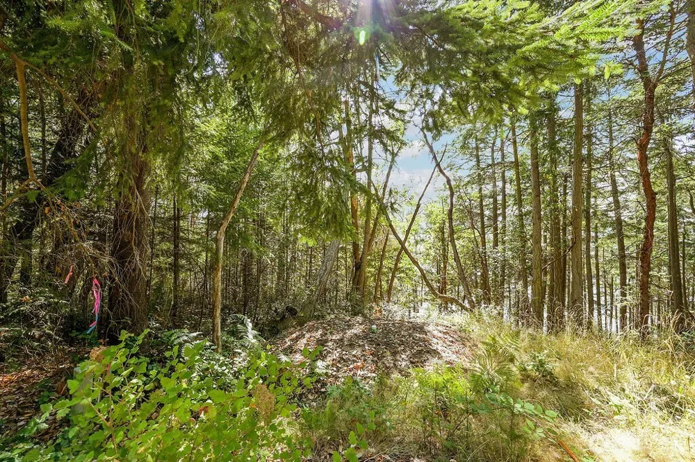 6982 Cape George Rd Port Townsend, WA 98368