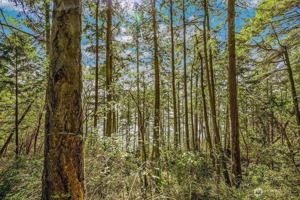 6982 Cape George Rd Port Townsend, WA 98368