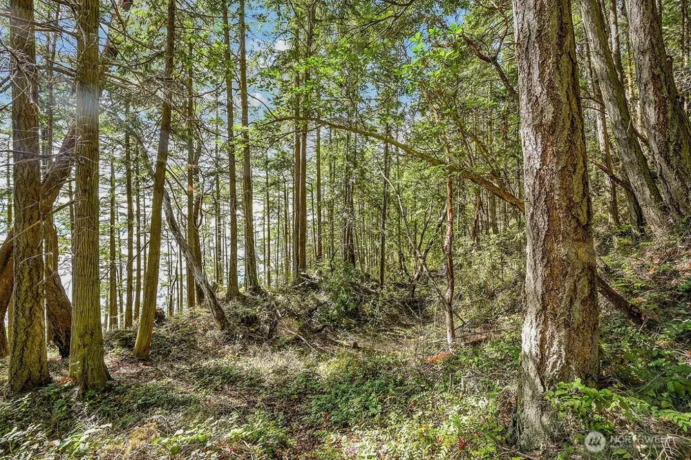 6982 Cape George Rd Port Townsend, WA 98368