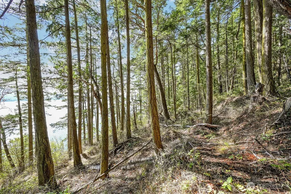 6982 Cape George Rd Port Townsend, WA 98368