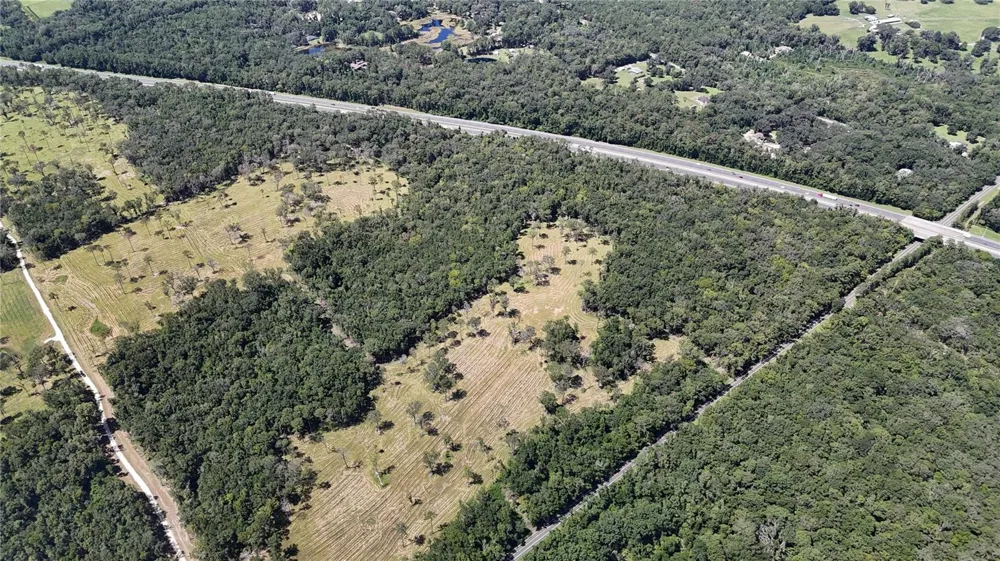 WOH #1 (15ac) NW 193RD ST Micanopy, FL 32667