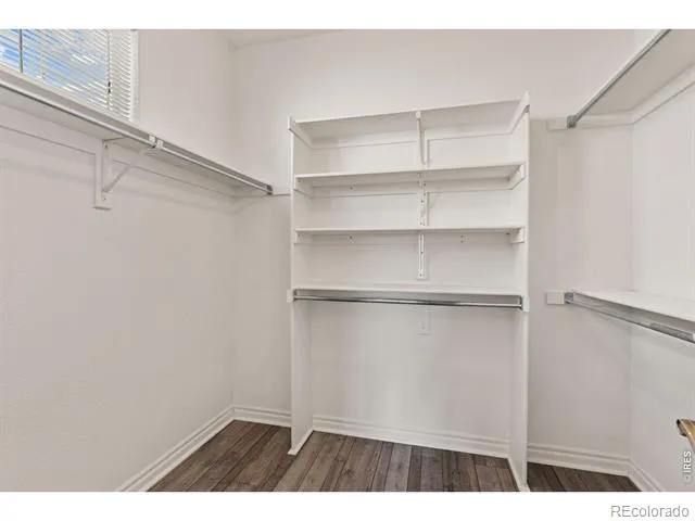 933 Ninebark Lane Longmont, CO 80503