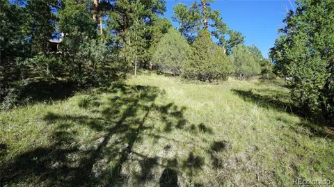 Bob Cat Trail