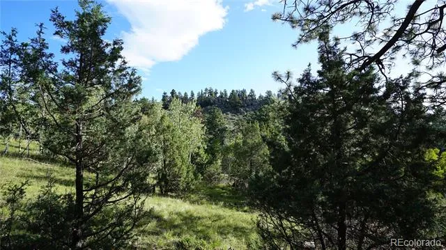 Bob Cat Trail Bailey, CO 80421