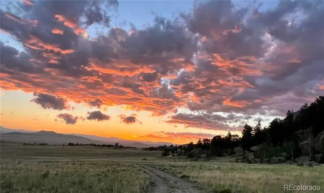 790 Tiara Road Lake George, CO 80827