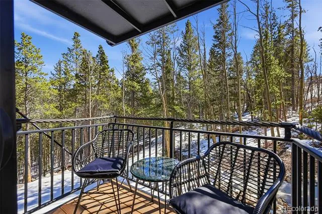 410 Aspen Street Alma, CO 80420