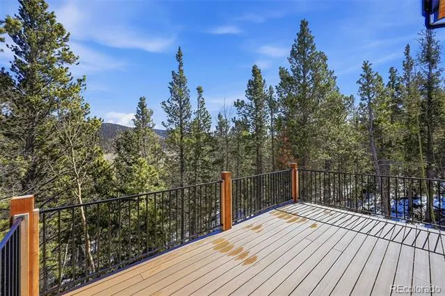 410 Aspen Street Alma, CO 80420