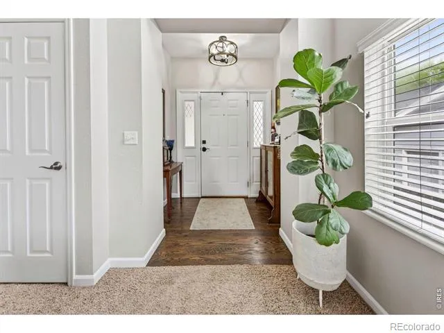 11884 Eudora Drive Thornton, CO 80233
