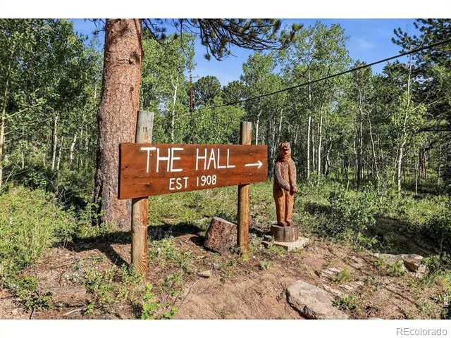 3497 Coal Creek Canyon Drive #65 Nederland, CO 80466