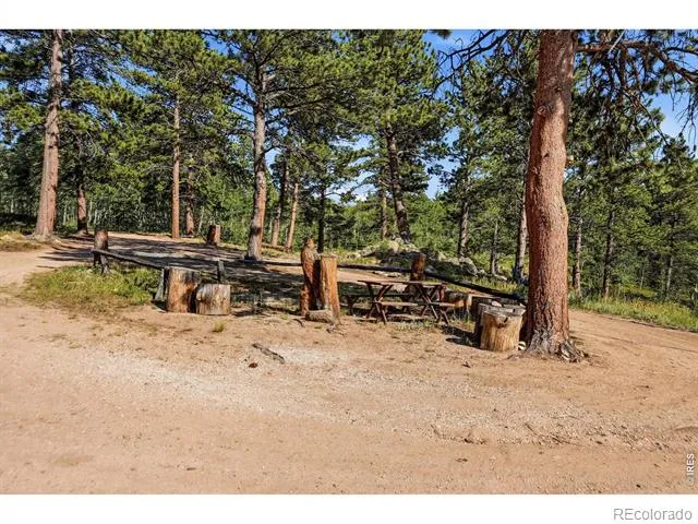 3497 Coal Creek Canyon Drive #65 Nederland, CO 80466