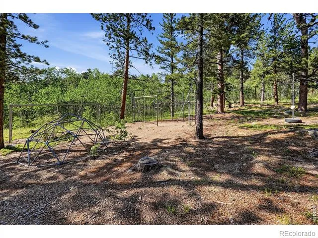3497 Coal Creek Canyon Drive #65 Nederland, CO 80466