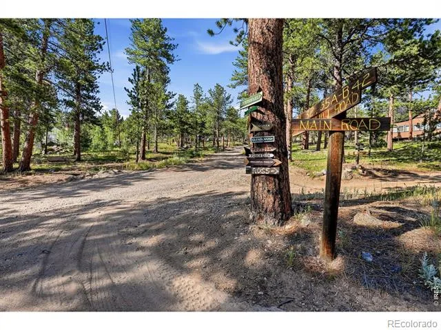 3497 Coal Creek Canyon Drive #65 Nederland, CO 80466