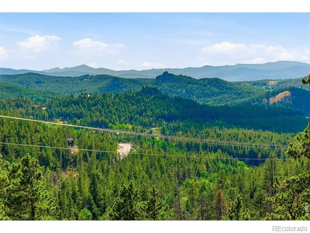 3497 Coal Creek Canyon Drive #65 Nederland, CO 80466