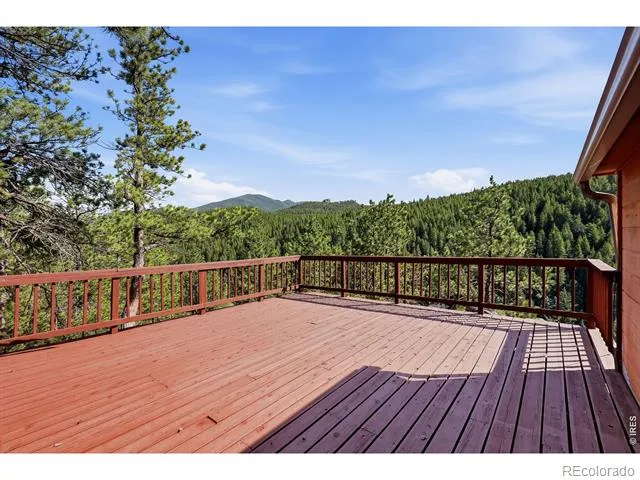 3497 Coal Creek Canyon Drive #65 Nederland, CO 80466