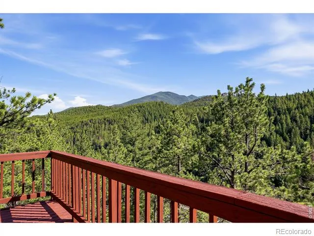 3497 Coal Creek Canyon Drive #65 Nederland, CO 80466
