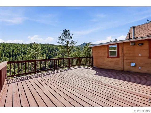3497 Coal Creek Canyon Drive #65 Nederland, CO 80466