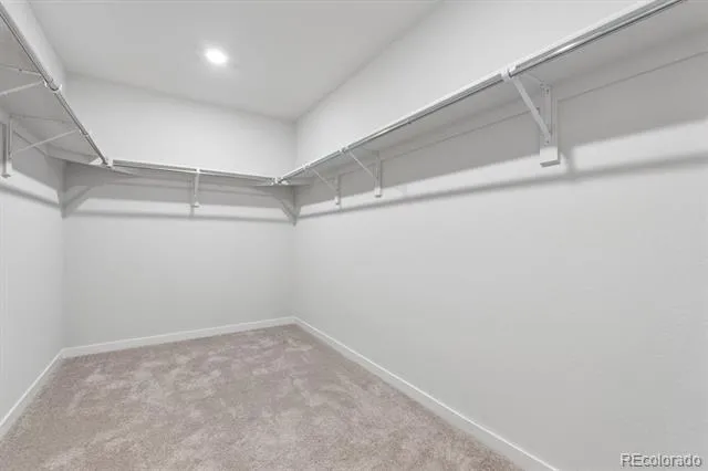 3661 Sandreed Street Dacono, CO 80514