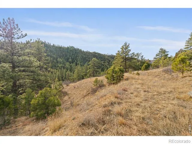 5771 Obenchain Road Laporte, CO 80535