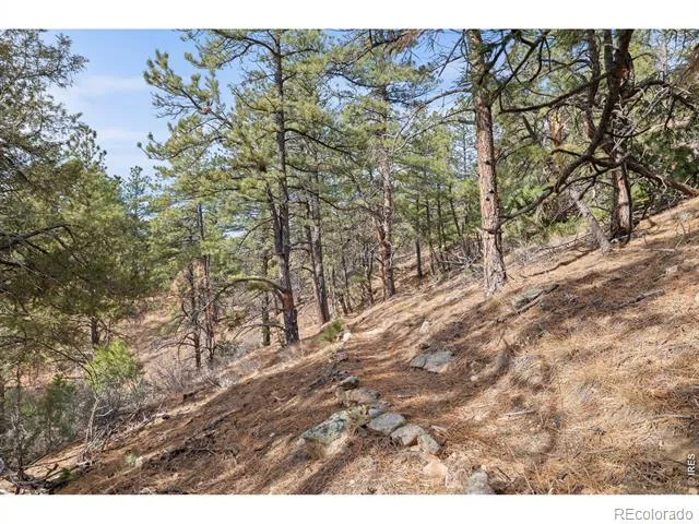 5771 Obenchain Road Laporte, CO 80535