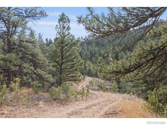 5771 Obenchain Road Laporte, CO 80535