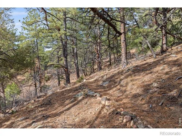 5771 Obenchain Road Laporte, CO 80535