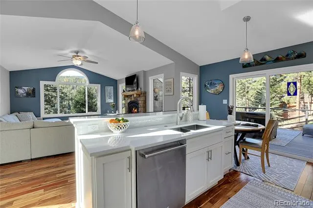 32857 Little Cub Road Evergreen, CO 80439
