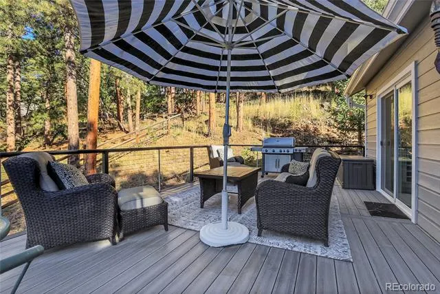 32857 Little Cub Road Evergreen, CO 80439