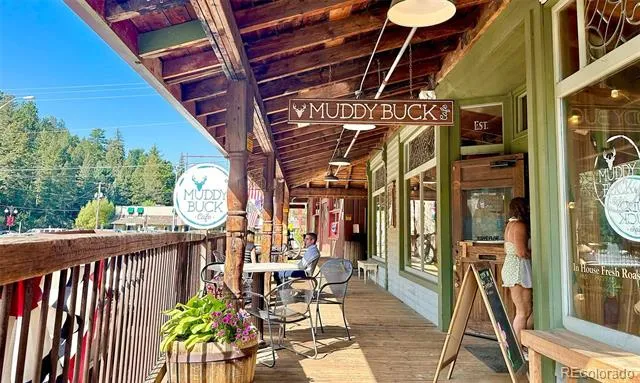 32857 Little Cub Road Evergreen, CO 80439