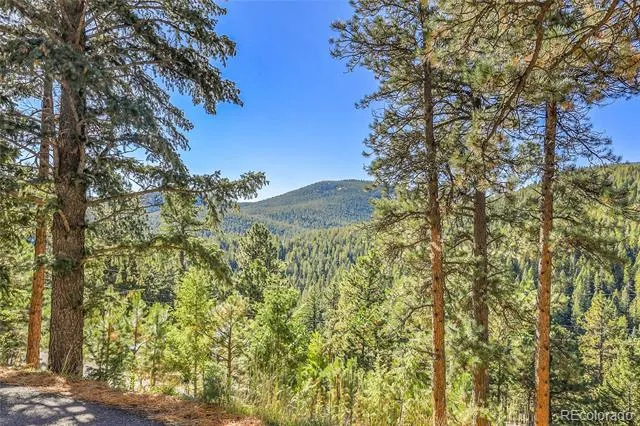32857 Little Cub Road Evergreen, CO 80439