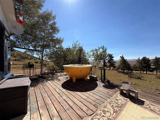 1199 Jefferson Road Hartsel, CO 80449