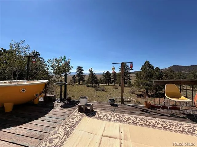 1199 Jefferson Road Hartsel, CO 80449