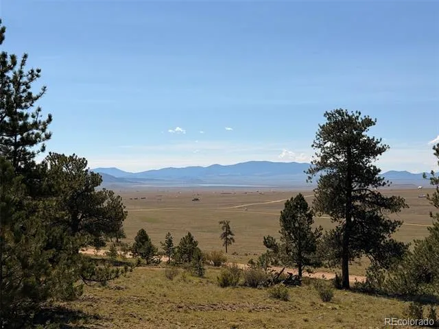 1199 Jefferson Road Hartsel, CO 80449