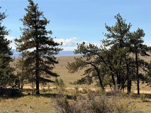 1199 Jefferson Road Hartsel, CO 80449