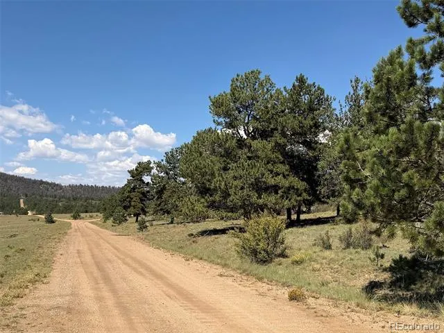 1199 Jefferson Road Hartsel, CO 80449