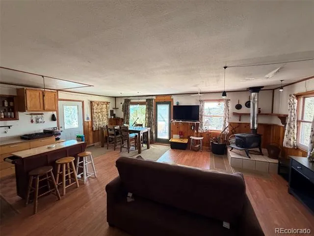 1199 Jefferson Road Hartsel, CO 80449