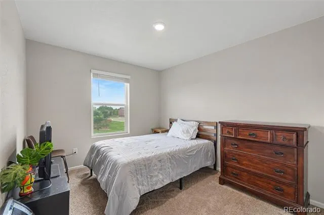 7229 Shavano Avenue Longmont, CO 80504