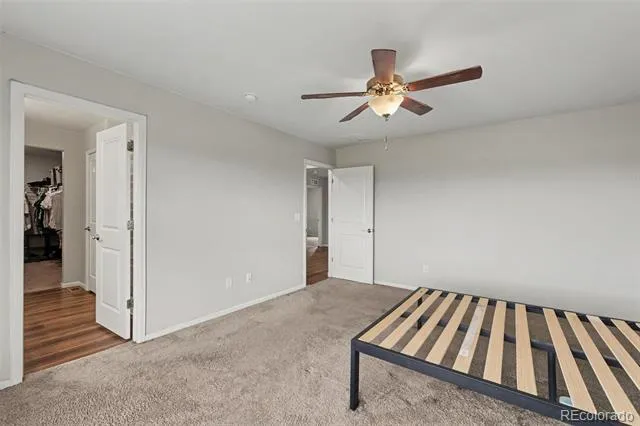 7229 Shavano Avenue Longmont, CO 80504