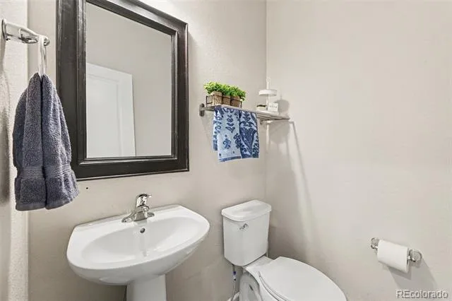 7229 Shavano Avenue Longmont, CO 80504