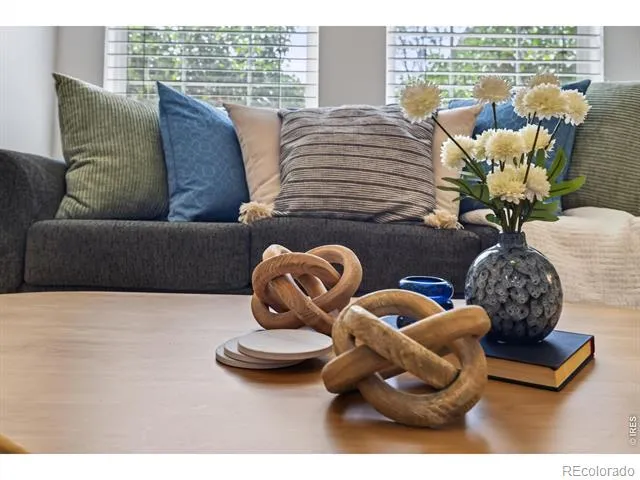 789 Bristle Pine Circle #C Highlands Ranch, CO 80129